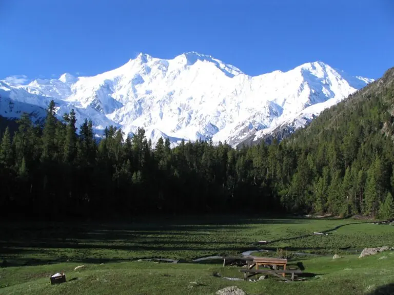 Nanga Parbat from Fairy Meadows
